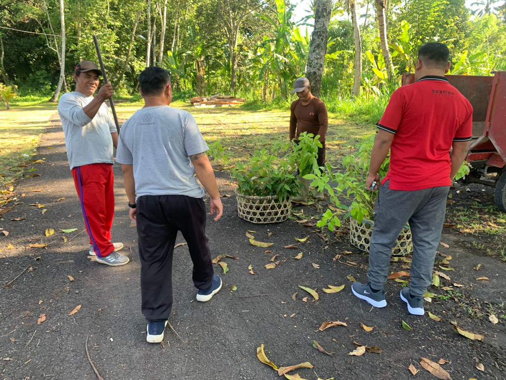 Penanaman Bibit Pohon di Desa Petang dari Dinas Lingkungan Hidup Provinsi Bali